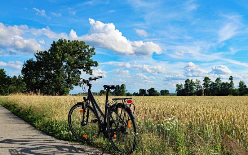 Comparaison entre Guidons Classiques et Ergonomiques Comparaison entre Guidons Classiques et Ergonomiques Transport comparaison guidons classiques ergonomiques 5