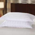 Lot de Deux Housses de Coussin Ergonomique Douces en Coton