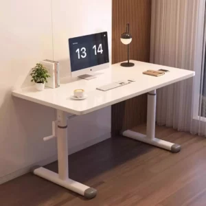 Bureau assis debout professionnel